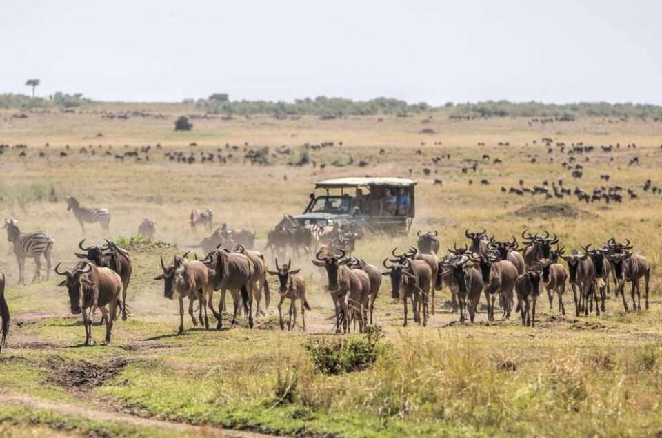 12 Days Across Kenya