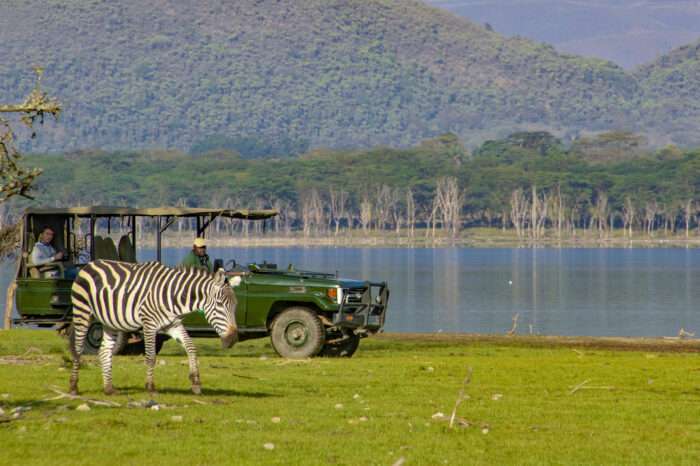 1 Day Conservation Experience – Soysambu, Lake Naivasha