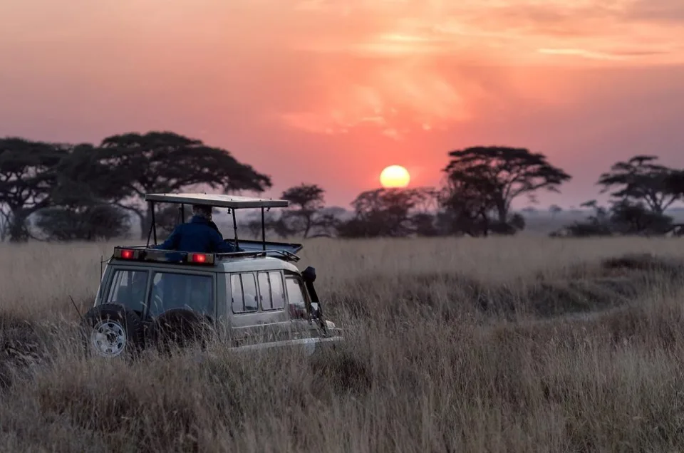 What to expect during a day on safari in Kenya