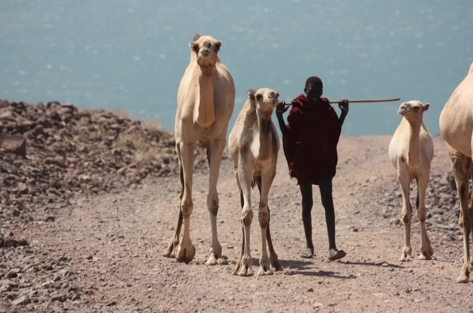 Exploring the Rich Culture of the Turkana Tribe in Kenya