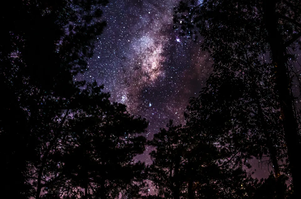 Discover the Celestial Wonders of the African Night Sky