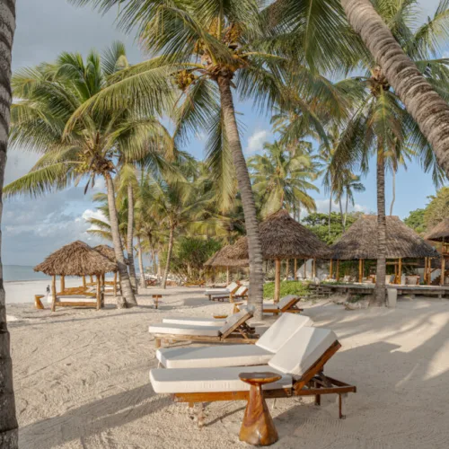 Beach loungers under palm trees at a luxury resort on Diani Beach, Kenya with white sand and ocean views