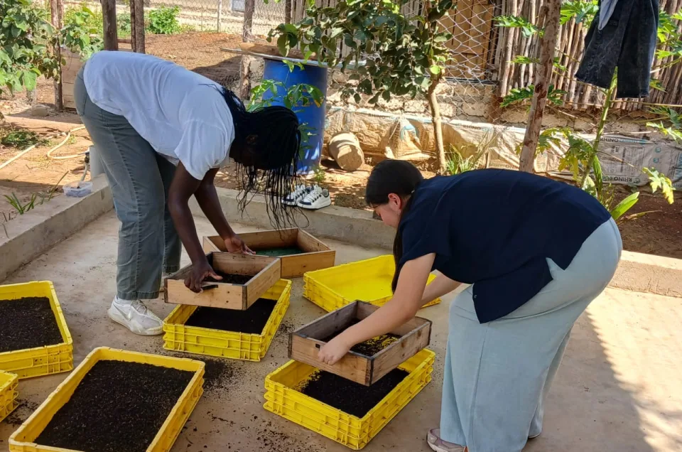 The Heri Kenya Black Fly Project in Diani Beach