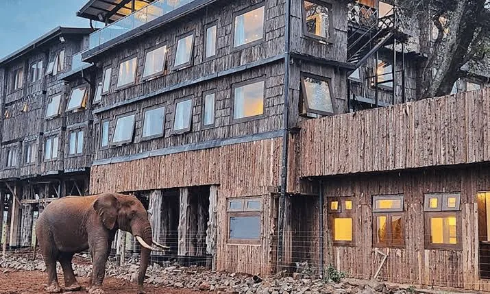 Stepping into History: The Storied Past of some Kenya Lodges
