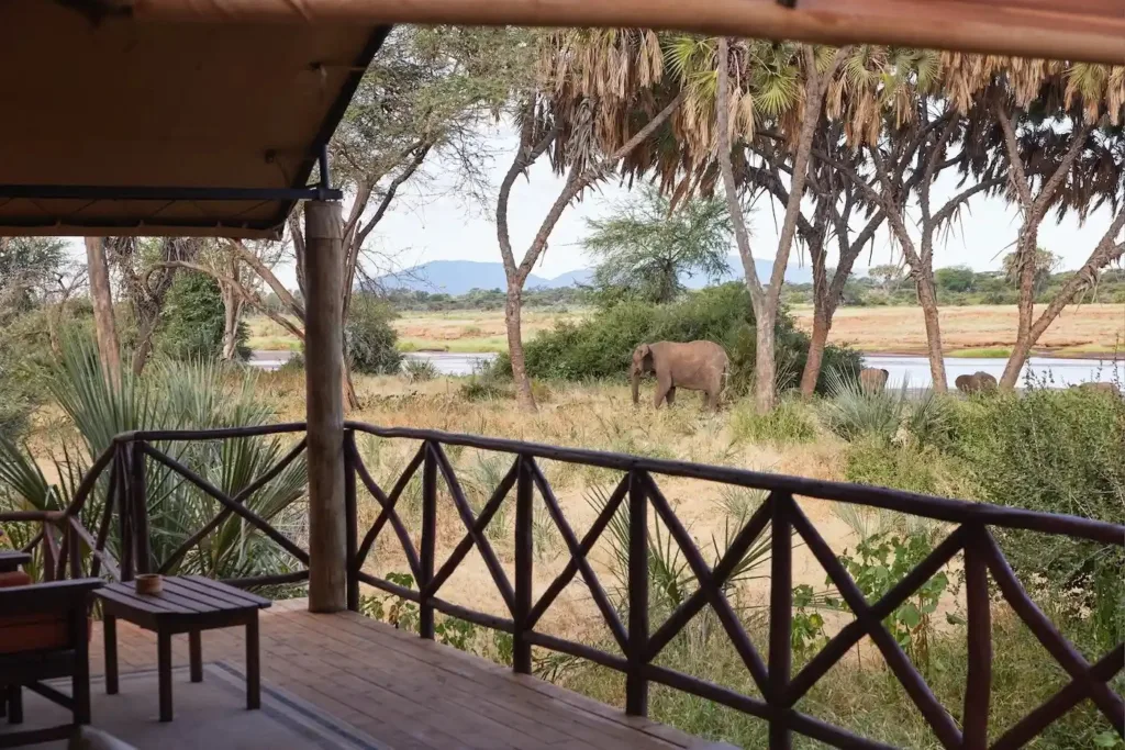Elephant Bedroom Safari Camp