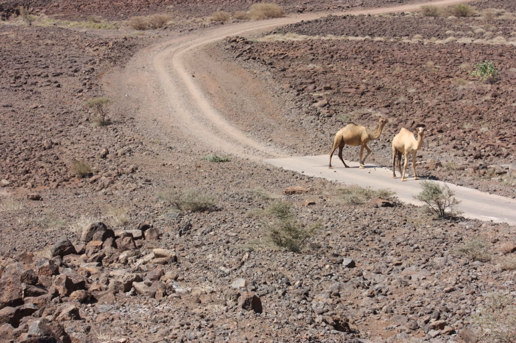 Chalbi Desert