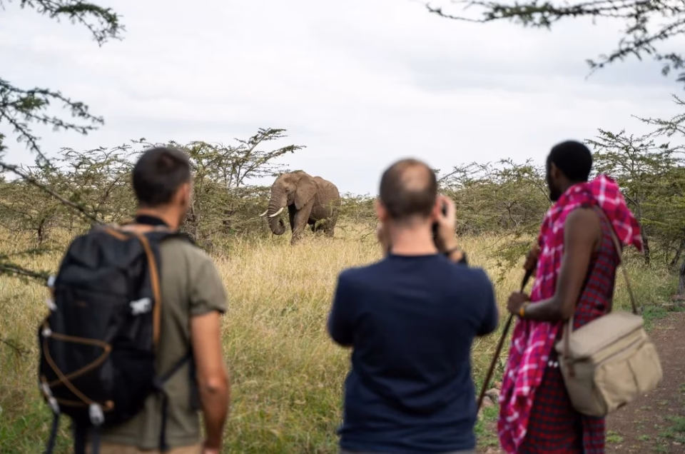 7 Wildlife Experiences in Kenya That Feel Completely Wild