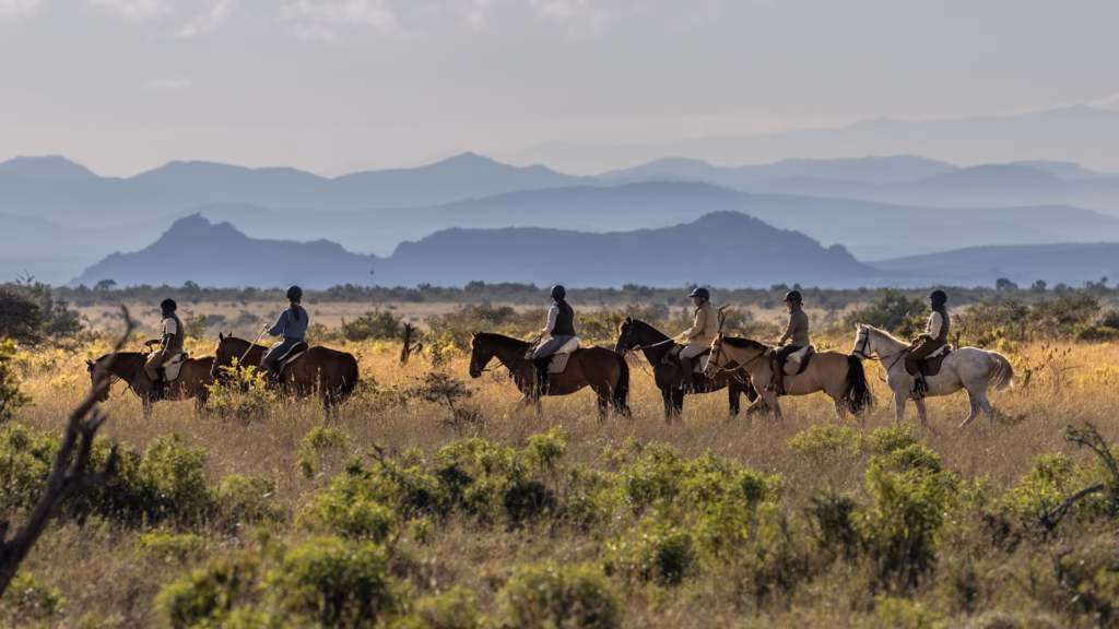 Horse Riding in the Bush