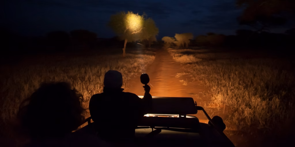 Night Game Drive